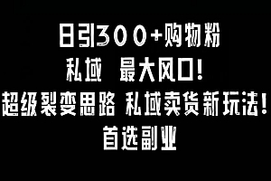 日引300+购物粉,超级裂变思路,私域卖货新玩法,小红书首选副业【揭秘】