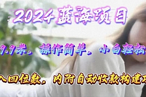 年轻群体的蓝海市场,1单9.9元,操作简单,小白轻松上手,日入四位数