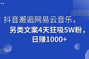 抖音邂逅网易云音乐,另类文案4天狂吸5W粉,日赚1000+【揭秘】