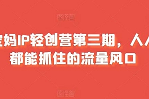 宝妈IP轻创营第三期,人人都能抓住的流量风口