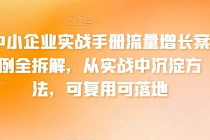 中小企业实战手册流量增长案例全拆解,从实战中沉淀方法,可复用可落地