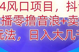 2024风口项目,抖音无人主播撸音浪+卖课程玩法,日入大几千【揭秘】