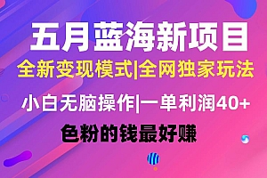 五月蓝海项目全新玩法,小白无脑操作,一天几分钟,矩阵操作,月入4万+