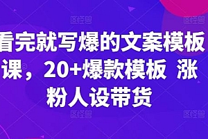 看完就写爆的文案模板课,20+爆款模板  涨粉人设带货