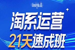 淘系运营24天速成班第28期最新万相台无界带免费流量