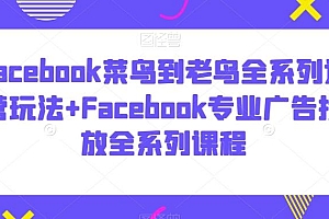 Facebook菜鸟到老鸟全系列运营玩法+Facebook专业广告投放全系列课程