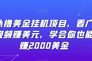 海外撸美金挂机项目,看广告刷视频赚美元,学会你也能月赚2000美金
