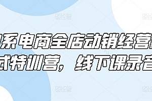 淘系电商全店动销经营模式特训营,线下课录音
