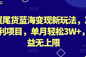 外贸尾货蓝海变现新玩法,冷门暴利项目,单月轻松3W+,收益无上限【揭秘】