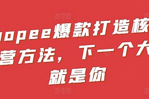 Shopee爆款打造核心运营方法,下一个大卖就是你