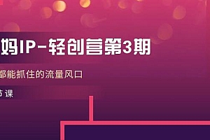 宝妈IP-轻创营第3期,人人都能抓住的流量风口(21节课