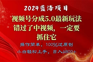 2024蓝海项目,视频号分成计划5.0最新玩法,错过了中视频,一定要抓住...