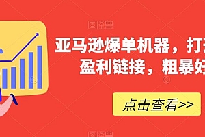 亚马逊爆单机器,打造巨额盈利链接,粗暴好用