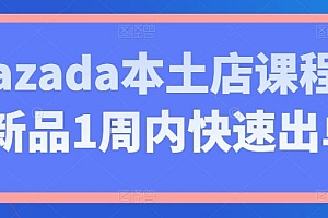 Lazada本土店课程,新品1周内快速出单