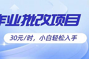 作业批改项目30元/时,简单小白轻松入手,非常适合兼职