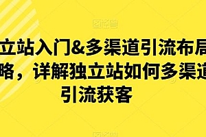 独立站入门&多渠道引流布局策略,详解独立站如何多渠道引流获客