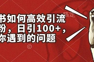 小红书如何高效引流创业粉,日引100+,解决你遇到的问题【揭秘】