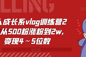 个人成长系vlog训练营2期,从500粉涨粉到2w,变现4~5位数