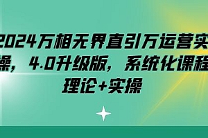 2024万相无界直引万运营实操,4.0升级版,系统化课程 理论+实操