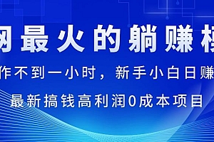 全网最火的躺赚模式,每天操作不到一小时,新手小白日赚1500+,最新搞...