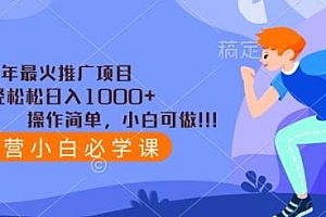 2024年最火推广项目,轻轻松松日入1000+,操作简单,小白可做