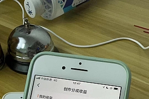 (8549期)全网独家首发,视频号BUG,超短期项目,单号每日净收益300-5000!