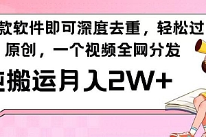 一款软件深度去重,轻松过原创,一个视频全网分发,纯搬运月入2W+