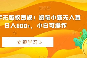 最新快手无版权违规!蜡笔小新无人直播,日入600+,小白可操作【揭秘】