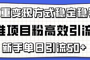 精准项目粉高效引流术,新手单日引流50+,多重变现方式稳定赚钱【揭秘】
