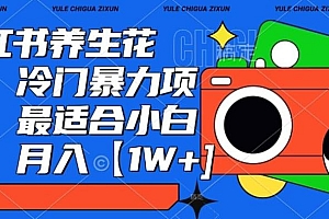 小红书养生花茶,冷门暴力项目,最适合小白做,月入【1W+】