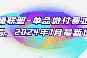 臻曦联盟-单品微付费正价起号,2024年1月最新课程