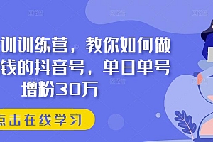 抖音实训训练营,教你如何做一个赚钱的抖音号,单日单号增粉30万