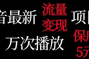 抖音流量变现,万次播放保底5元,额外收入