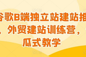 谷歌B端独立站建站推广,外贸建站训练营,傻瓜式教学