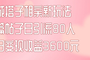 同城搭子相亲新玩法一篇帖子引流80人当日变现3600元(项目教程+实操教程)【揭秘】