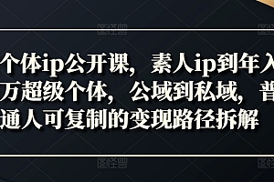 新个体ip公开课,素人ip到年入百万超级个体,公域到私域,普通人可复制的变现路径拆解