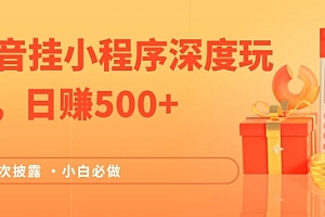 2024全网首次披露,抖音挂小程序深度玩法,日赚500+,简单、稳定,带渠道收入,小白必做【揭秘】