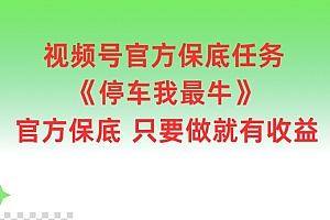 视频号官方保底任务,停车我最牛,官方保底只要做就有收益【揭秘】