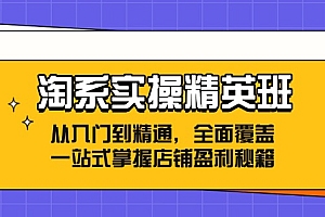 淘系实操精英班:从入门到精通,全面覆盖,一站式掌握店铺盈利秘籍