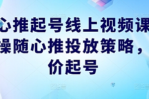 随心推起号线上视频课,实操随心推投放策略,正价起号