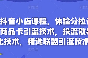 最新抖音小店课程,体验分拉升技术,商品卡引流技术,投流效果优化技术,精选联盟引流技术