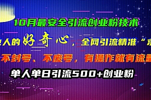 10月最安全引流创业粉技术,利用他人的好奇心全网引流精准“求带粉”不封号、不废号【揭秘】