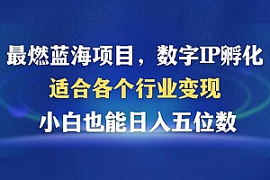 最燃蓝海项目  数字IP孵化  适合各个行业变现  小白也能日入5位数