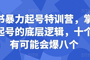 小红书暴力起号特训营,掌握小红书起号的底层逻辑,十个帖真有可能会爆八个
