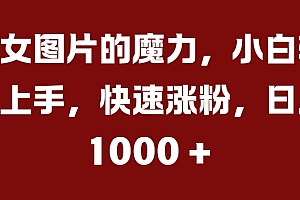 美女图片的魔力,小白轻松上手,快速涨粉,日入几张【揭秘】