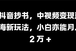 抖音抄书,中视频变现蓝海新玩法,小白亦能月入 过W【揭秘】