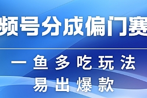 视频号创作者分成计划偏门类目,容易爆流,实拍内容简单易做【揭秘】