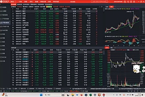 张月老师·2024低风险股票实操营(更新11月)
