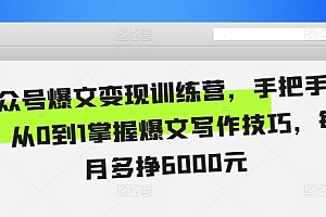 公众号爆文变现训练营,手把手教你,从0到1掌握爆文写作技巧,每个月多挣6000元