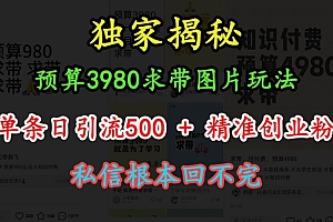 预算3980求带 图片玩法,单条日引流500+精准创业粉,私信根本回不完